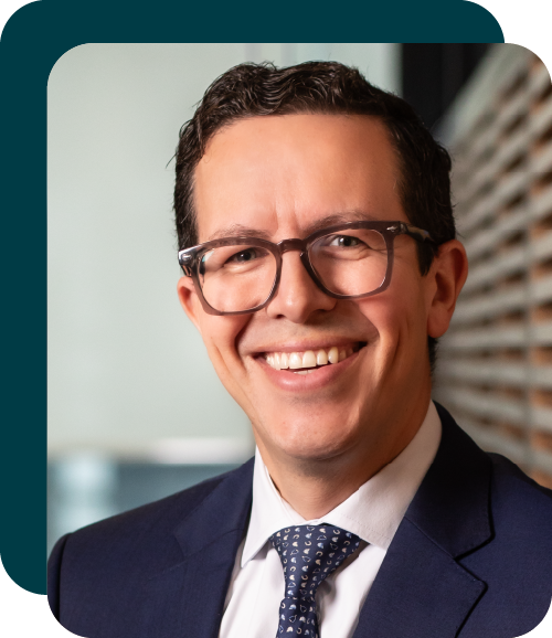 Fernando Cepeda Ulloa